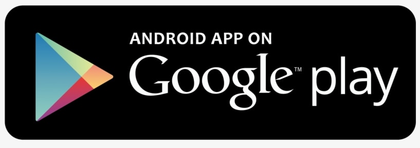 Google Play Store Icon